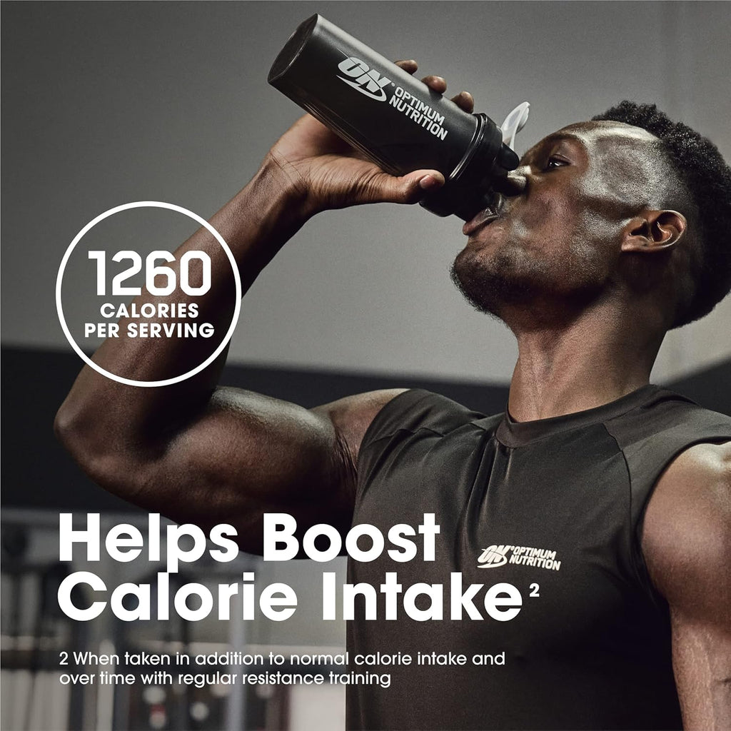 Optimum Nutrition Serious Mass Gainer