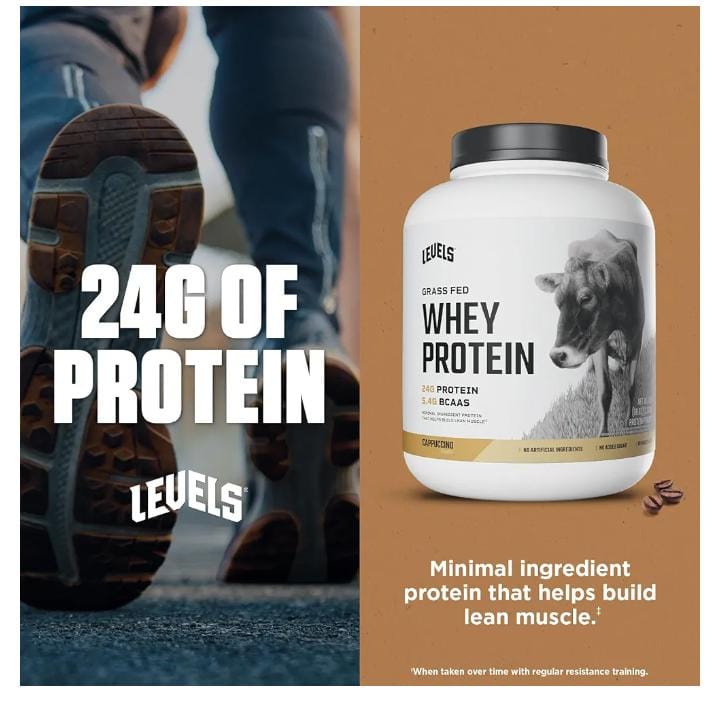 Nutrition Whey Protein Powder